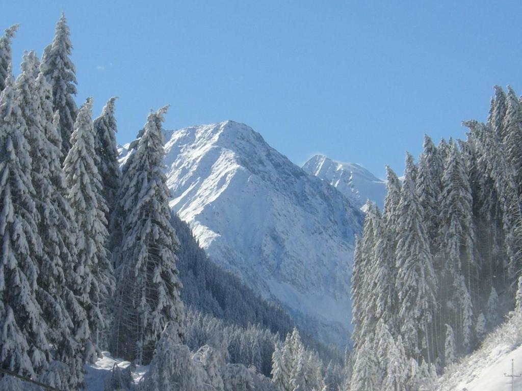 Haus Binder Apartman Neustift im Stubaital Szoba fotó